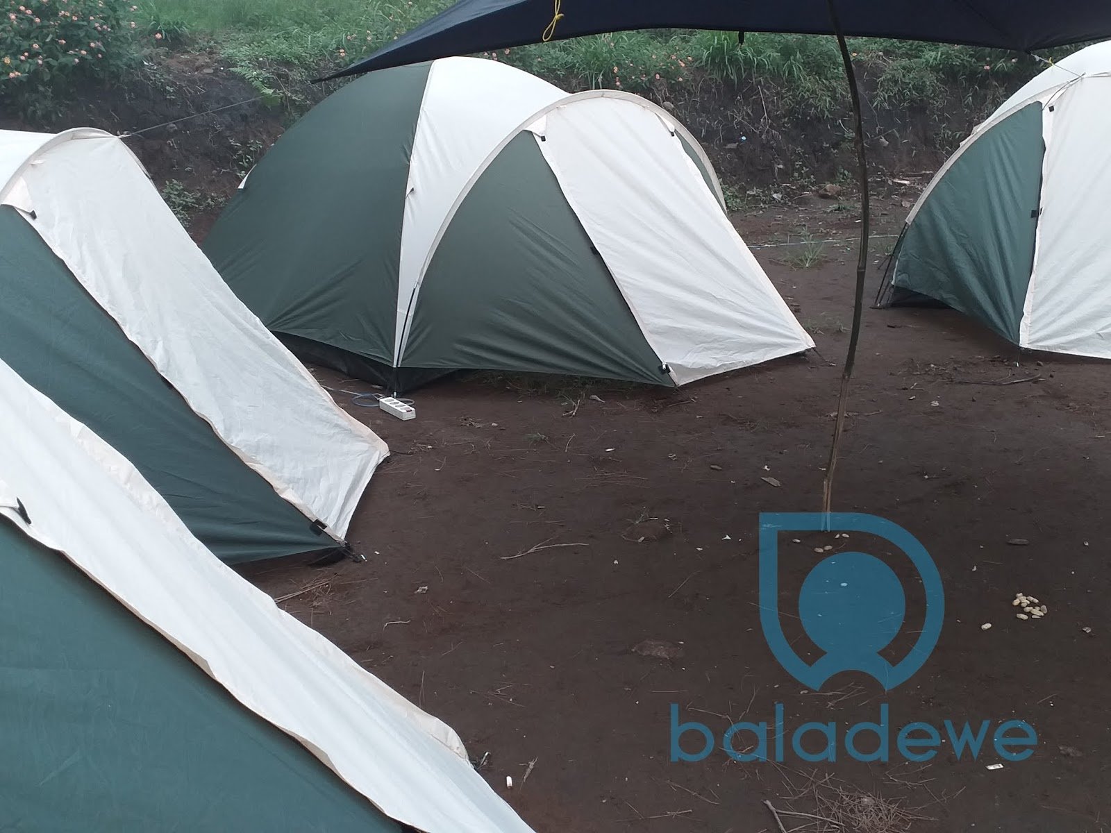 Tenda Dome Kapasitas 4 Orang - Harga Sewa Tenda Camp Mawar Ungaran